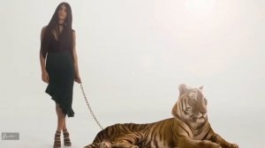 ГДЕ ТЫ МОЙ ТАЛИСМАН🐱🚀СУПЕРПЕСНЯ🎶🎥SUPER  SONG РУССКИЙ СТИЛЛЬ