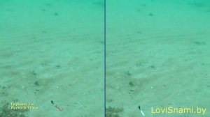 Мормышка AKARA чесночинка с отверстием #мормышка #зимняярыбалка