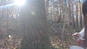 #базаотдыха чайка #Увильды #Осень #отдыхнаприроде оз. Увильды, База отдыха "Чайка"