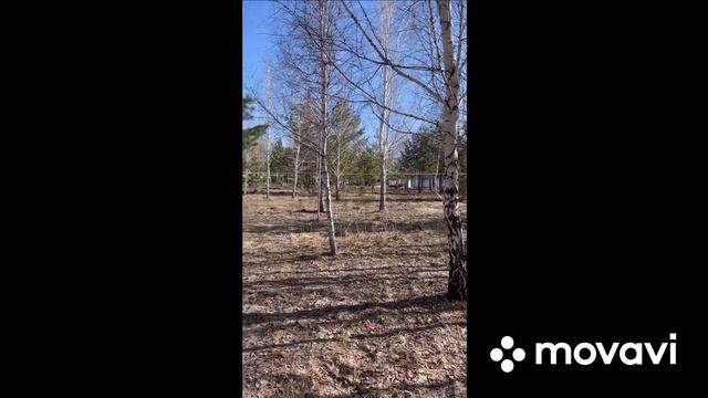 Лиственная 7 Ютуб смотреть онлайн