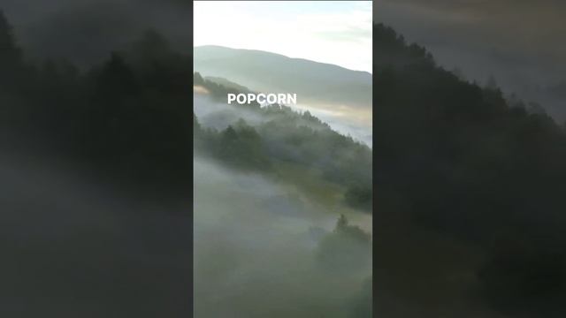 The Bootstuck Tapes: Defrosting frozen meat without a microwave смотреть онлайн