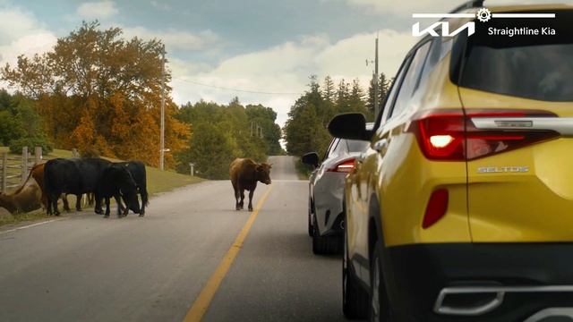 The 2023 Seltos AWD With Drive Mode For All Your Journeys This Fall смотреть онлайн