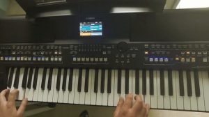 Biełyje Rozy / Белые розы Yamaha PSR SX600