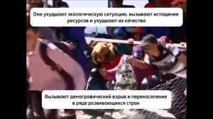 Климат и его влияние на здоровье человека. ГБОУ Школа № 887. 2024. Социальный ролик.