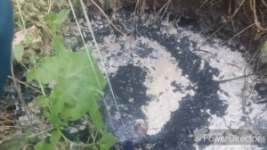 Тестируем насос вибрационный " ЗУБР"