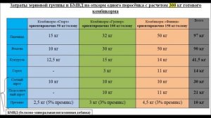 Бизнес на свиньях. Выгодно ли заниматься свиноводством, затраты на откорм свиней