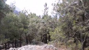 Поездка в Крым на машине дикарём 2020.  Пляж Инжир. Автокемпинги. 720