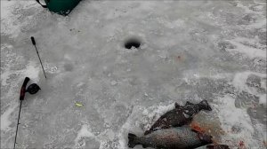 Сумасшедший клёв на нижнем. Клёвое место.