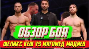 Бокс 2022. Обзор боя Магомед Мадиев Феликс Кеш