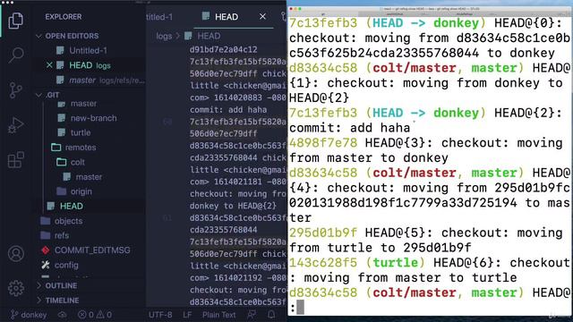 19 The Power of Reflogs - Retrieving _Lost_ Work смотреть онлайн