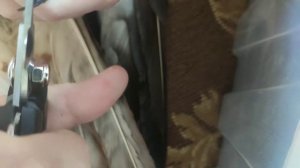 Как подстричь когти птице?
