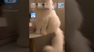 {Как взломать почту в тока ворлд? {Bable Toca} ^toca boka^тока бока^