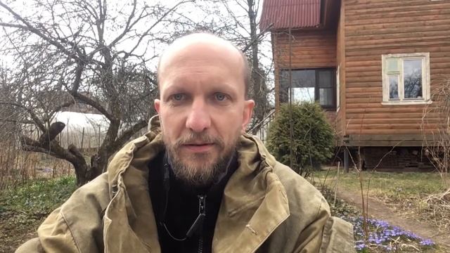 Воспитание на самоизоляНужна ли иерархия в семье?