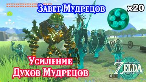 Завет Мудрецов. The Legend of Zelda Tears of the Kingdom. All Sage's Will Locations. Nintendo Switch