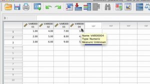 01 How to Use SPSS - An Introduction to SPSS for Beginners