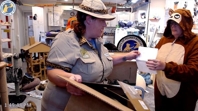 Boxes 10-31-2023   (FFRC) смотреть онлайн