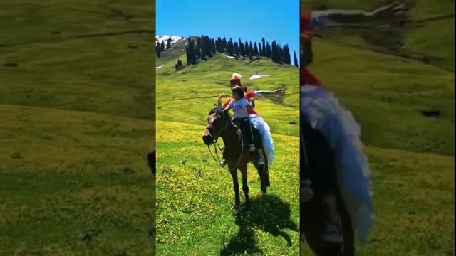 Ат үстінде  қара жорға биі    🏇🏿  💃🏼 1