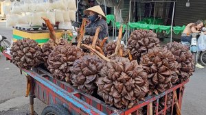 Самый уникальный фрукт в мире: навыки резки плодов пальмы Нипа