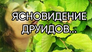 ЯСНОВИДЕНИЕ ДРУИДОВ....эфир состоялся 24 июня. 2018 г.