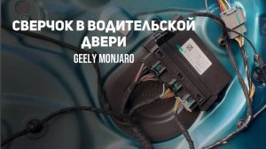 Устраняем мелкий бесячий сверчок/ дребезг в водительской двери Джили Монжаро/ Geely Monjaro