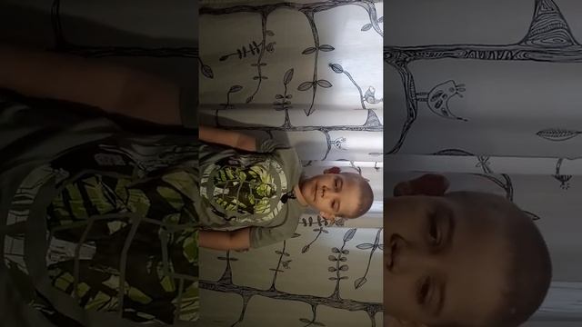 КАК Я ХОЖУ В САДИК смотреть онлайн