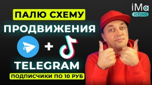 Раскрутка и продвижение Телеграм канала за счет рекламы в ТикТок. Как набрать подписчиков Телеграм