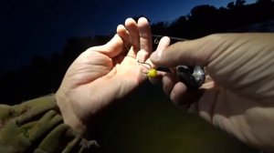 ОНИ НАПАЛИ НОЧЬЮ... БУДЬТЕ АККУРАТНЕЕ!!!. Рыбалка в Астрахани осень 2021. Ловля сазана.