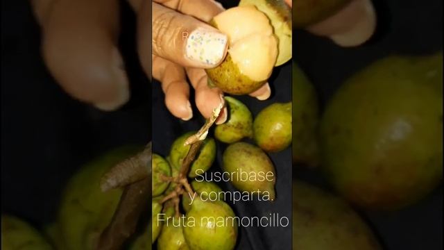 Mamoncillo una delicia de El Salvador