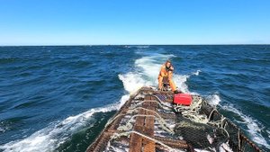 1 августа 2021 года работам!