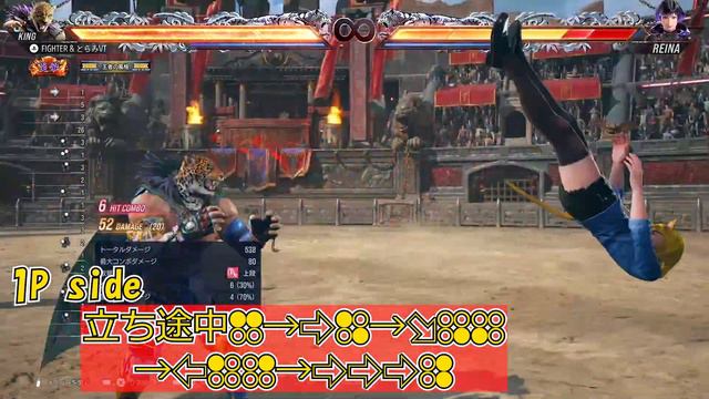 【TEKKEN8】King Basic Combo Collection part1｜キングの基本コンボ集part1【鉄拳8】 смотреть онлайн