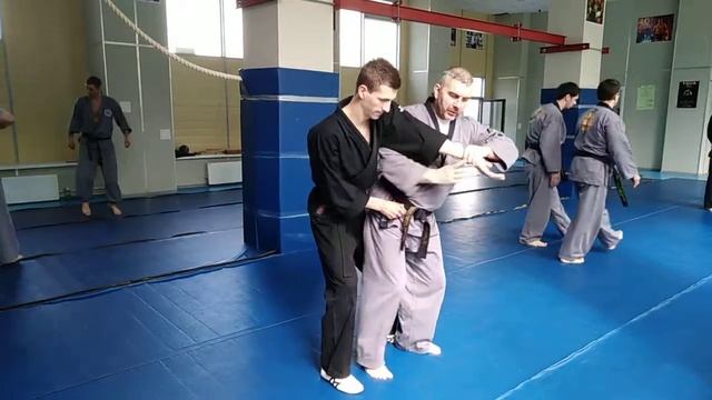 Семинар инструкторов по Син Му Хапкидо, во Фрязино смотреть онлайн