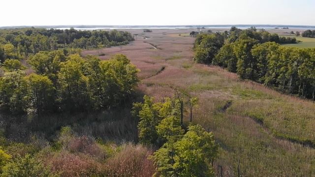 M&M Hunting Preserve and Sporting Clays смотреть онлайн