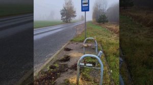 В Латвии спилили скамейки на дрова.