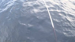 Рыбалка на шхуне 2021, обзор катера.