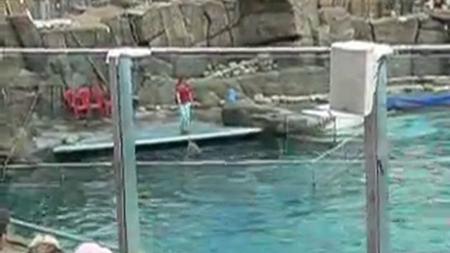 Московский зоопарк. Дельфинарий.Часть №2 / Dilphins in Moscow.MOV