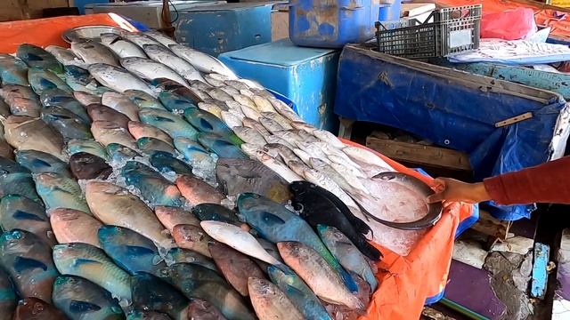 Рыбный рынок в Хургаде?Египет?Где лучше покупать Рыбу и Морепродукты?Улетные цены?Свежие деликатесы смотреть онлайн