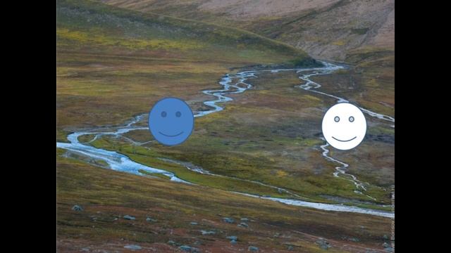 Водные колеры Разбеленые колеры