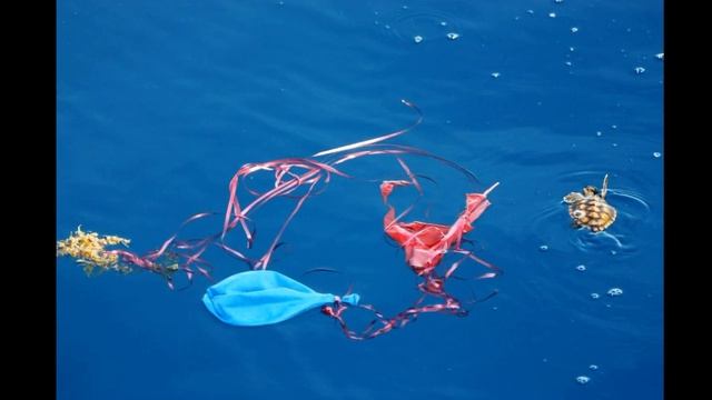 О вреде воздушных шаров смотреть онлайн