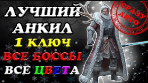 Лучший анкил! Все цвета! Все Боссы! 1 ключ! Сразу Авто Raid SL