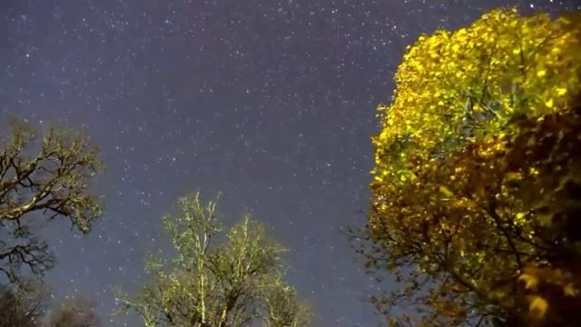 Прочтение стихотворения "Перед сном" Роберта Льюиса Стивенсона смотреть онлайн