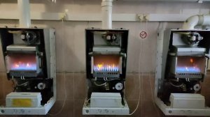 Розжиг газовых котлов Viessmann.