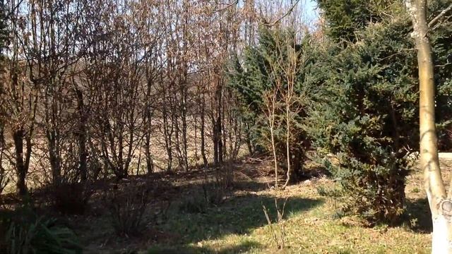 Карантин даче не помеха.#дачнаяжизнь#карантинвольвове#здоровье#
