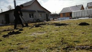 Хозяйство Воронова | Участок | Кроты изрыли весь газон на участке