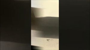 История Дубай 2020-03-01 Бассейн и Пляж