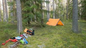 В поисках лесного стана \ Сентябрь 2020г.