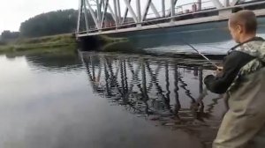 Кету на поплавок