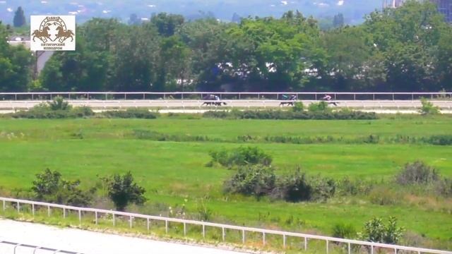 11.07.2021 - 1 Скачка на лошадях 2-х лет чистокровной верховой породы - Биотоп смотреть онлайн