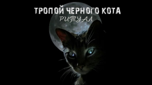 ТРОПОЙ ЧЁРНОГО КОТА...