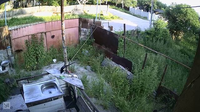 Сорока ворует мыло смотреть онлайн