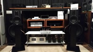 AMPLIFICADOR VALVULAR YAQIN 6P1P, BOOKSHELF MAGNAT SIGNATURE 503